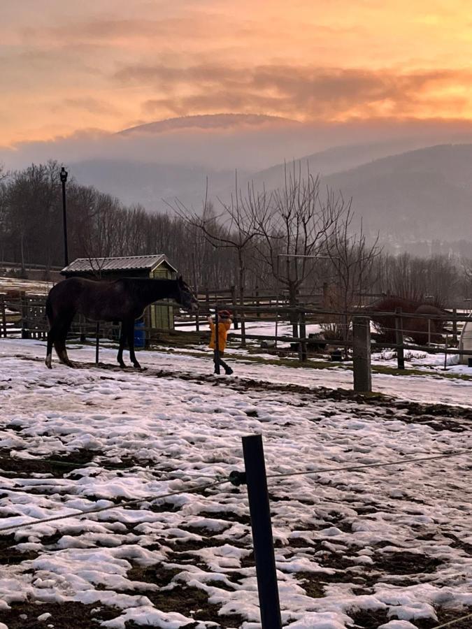 Villa Sarnia Polana Kostrzyca Esterno foto